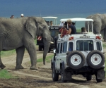 elephant-tanzania-2001a
